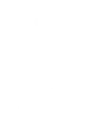 DesignSmart logo